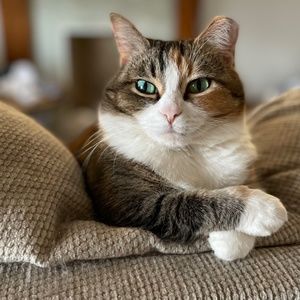 Meet your Posher, Lillian